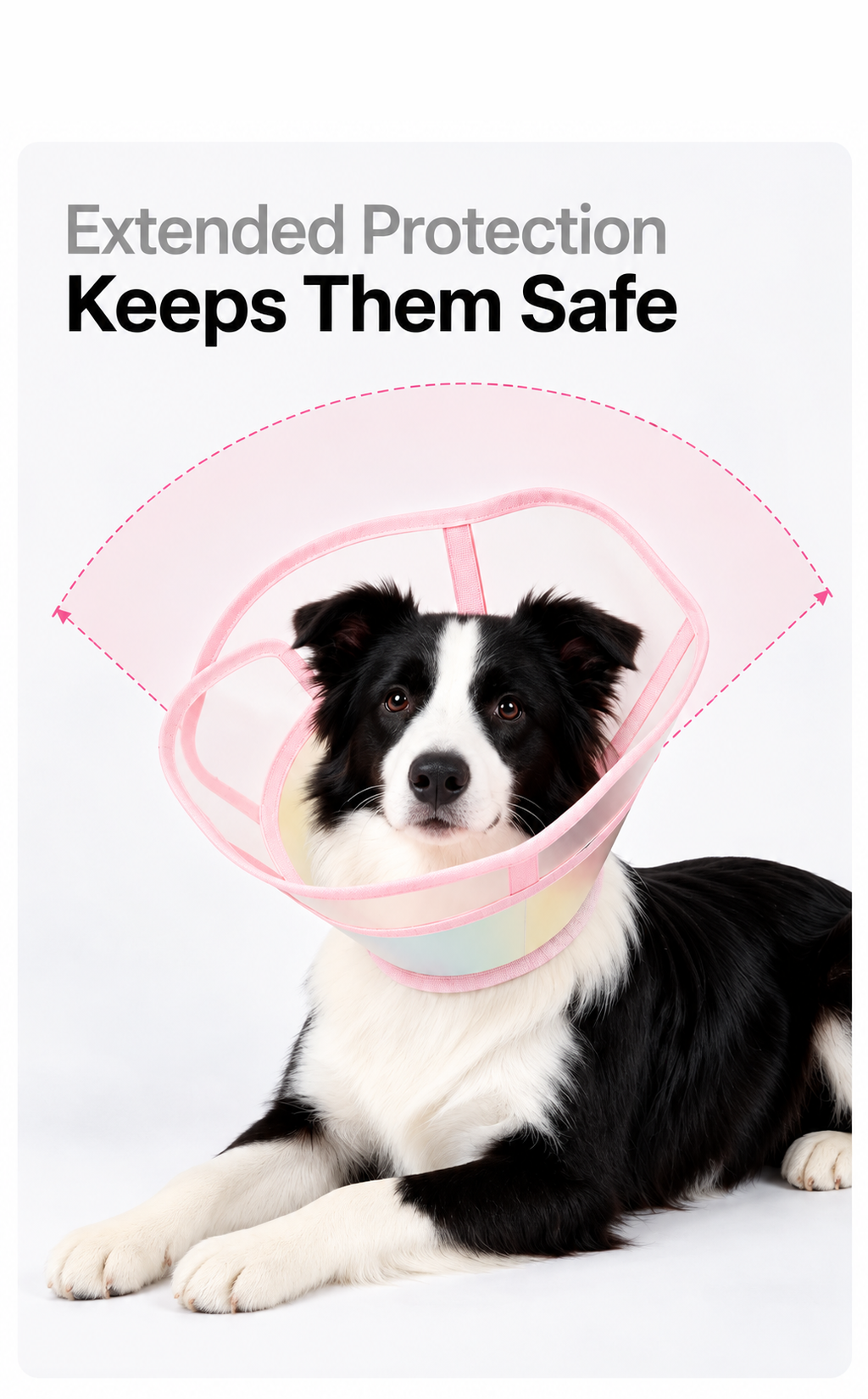 Soft Pet Recovery Collar